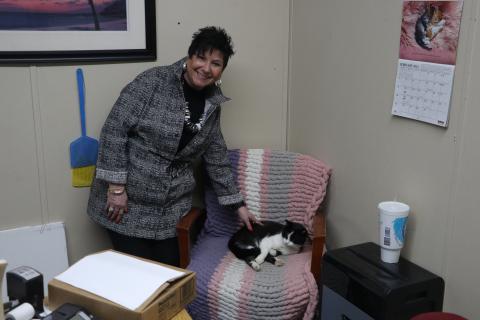 Lake City Humane Society Executive Director Elizabeth Halloran alongside the agency’s office cat, Scruffy, in her office. (MORGAN MCMULLEN/Lake City Reporter)
