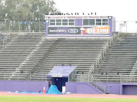 Vultures line the top of the press box at Tiger Stadium. Black vultures and turkey vultures have become a nuisance at the stadium since Columbia High’s track was resurfaced late last year. (COURTESY)