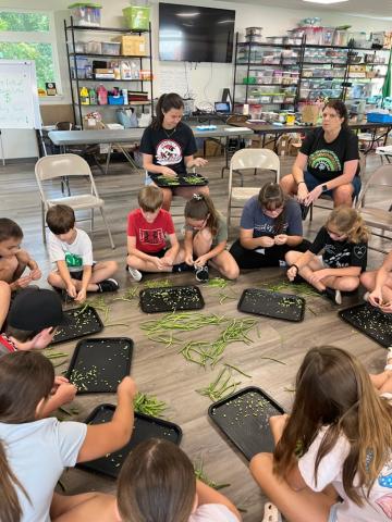 Lafayette County 4-Hers enjoy shelling peas during the annual Farm to Table 4-H day camp last week. The peas were part of a dinner the campers prepared from scratch. (COURTESY)