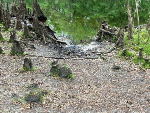 Vegetation is worn down along the banks due to the excessive use at the park. (COURTESY)