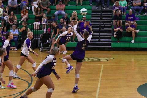 Columbia setter Mylie Fernandez (7) passes to a teammate during a match against Suwannee on Aug. 20. (BRENT KUYKENDALL/Lake City Reporter)