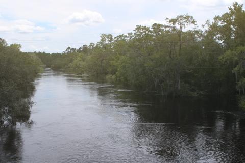 The Suwannee River is flooding from its banks at White Springs after Hurricane Debby dumped up to 16 inches of rain in the area. The river has risen 20 feet at White Springs since last weekend. (TONY BRITT/Lake City Reporter)