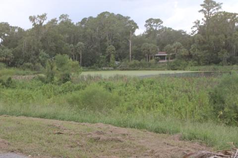 The City of Lake City is seeking state grant funding for several projects, including the restoration of Gwen Lake. (TONY BRITT/Lake City Reporter)