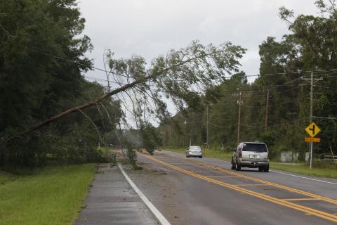 A tree leans over State Road 47 near SW Walter Ave. on Friday after Hurricane Helene passed through Columbia County. (JAMIE WACHTER/Lake City Reporter)