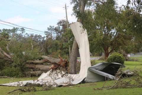 Tin from the roof of First Advent Christian Church lays on the ground with a fallen tree in front of Suwannee Springcrest Elementary School on Saturday. (LILLY WACHTER/Lake City Reporter)