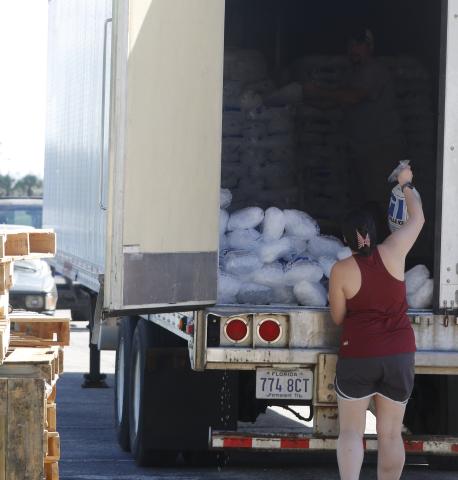 A visitor to the Fort White Community Center on Sunday grabs a bag of ice off the back of a semi truck that was supplying ice to those without power after Hurricane Helene. (STASI WACHTER/Lake City Reporter)