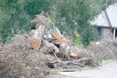 Columbia County Commissioners met Thursday to discuss imposing fines and other penalties against contractors using the county’s rights-of-way to dispose of cleared debris following Hurricane Helene. (JAMIE WACHTER/Lake City Reporter)