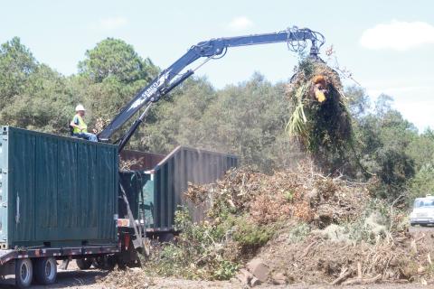Debris is unloaded at the Columbia County Public Works yard last September following Hurricane Idalia. (FILE)