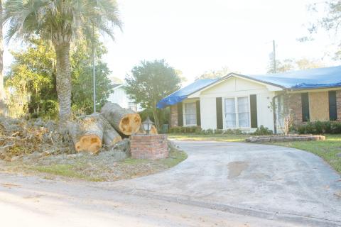 A couple of large logs rest on a pile of debris near a home on SW Oleander Street on Wednesday afternoon. Hurricane Helene lefts various types of organic debris in its wake. (TONY BRITT/Lake City Reporter)