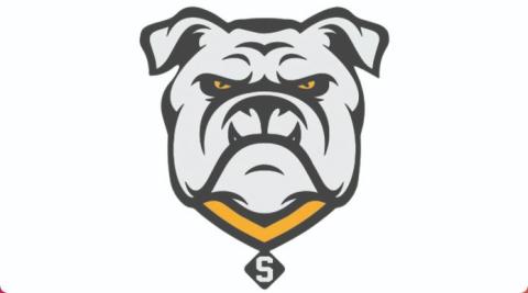 Suwannee Bulldogs