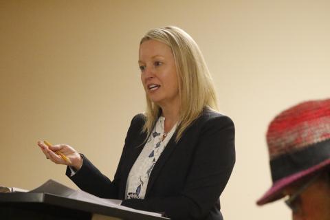 Anita Rembert, the CEO of Palms Medical Group, talks with the Lake Shore Hospital Authority board Monday about Palms’ proposal to operate an Authority-owned primary care clinic. (JAMIE WACHTER/Lake City Reporter)