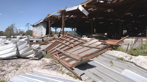 Rural Florida, including this shed in Madison County, sustained heavy damage in September’s Hurricane Helene. (MIKE EXLINE/News Service of Florida)