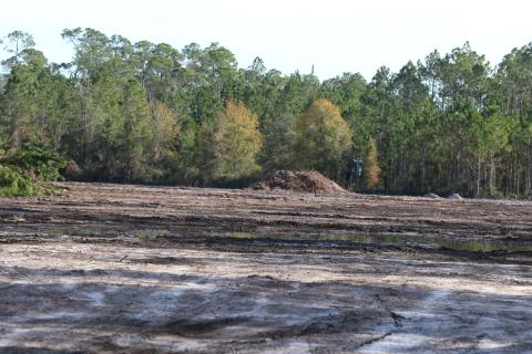 Advanced Project Solutions is clearing 22 acres at the North Florida Mega Industrial Park for AgroLiquid, the first tenant at the park east of Lake City. (JAMIE WACHTER/Lake City Reporter)