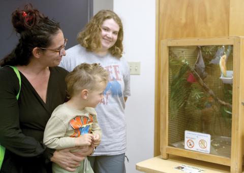Michelle Rowold (from left) holds Donati Rowold, 3, both of Fort White, as Caroline Madden of the Lubee Bat Conservancy provides information about the bat in the enclosure during a community program at the Columbia County Public Library on Monday afternoon. (TONY BRITT/Lake City Reporter)