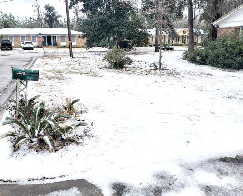 Snow fell in Hamilton County, including Jasper, during the winter storm Tuesday night. (JASON WILKINSON/Lake City Reporter)