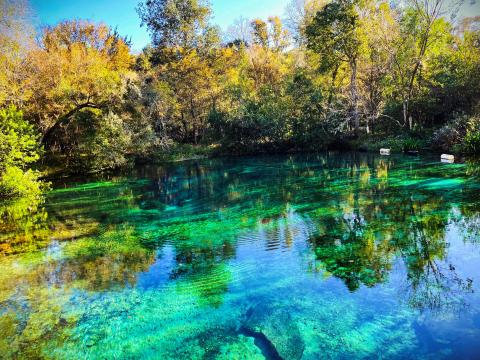 The Florida Springs Council, an environmental advocacy group, filed a lawsuit claiming the new state law doesn’t protect Outstanding Florida Springs such as Ichetucknee Springs in Columbia County. (COURTESY TOURISM DEVELOPMENT COUNCIL)