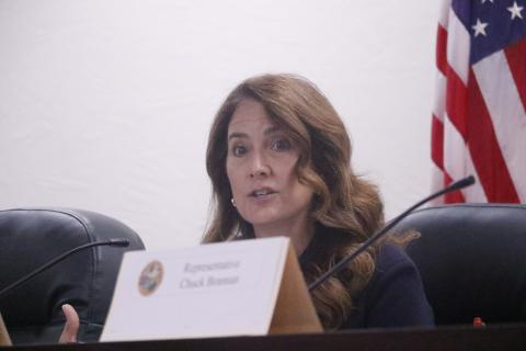 Sen. Jennifer Bradley said she wants to see population thresholds increased when it comes to the state designating which counties are rural. (JAMIE WACHTER/Lake City Reporter)