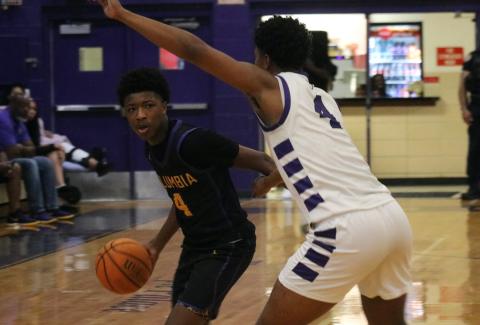 Columbia guard Shaheed White tries to throw pass around Gainesville forward Cornelius White during the Region 1-5A quarterfinals on Wednesday night. (JORDAN KROEGER/Lake City Reporter)