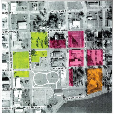 A map that indicates which Lake Shore Hospital Authority properties would go to Florida Gateway College (orange) Columbia County (pink) or remain vacant and unclaimed (yellow). (COURTESY)