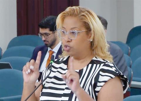 Leslie Jean-Bart, the White Springs town attorney, disagreed with portions of Rep. Jason Shoaf’s claims about the town, including suspecting any criminal activity on the town’s part. (COURTESY)