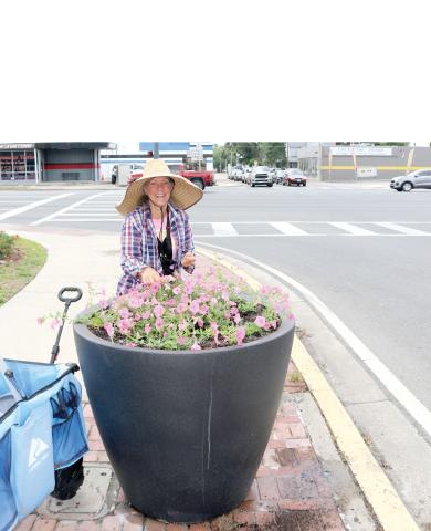Sonya Rossin, of the Lake City Garden Club, works on replanting and watering Bubble Gum Petunias in the planter near the intersection of Marion Avenue and Duval Street on Tuesday afternoon. Several members of the Lake City Garden worked on the plants as part of the group’s beautification project. (TONY BRITT/Lake City Reporter)