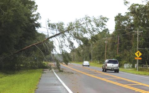 A tree leans over State Road 47 near SW Walter Ave. after Hurricane Helene passed through Columbia County in September. (FILE)