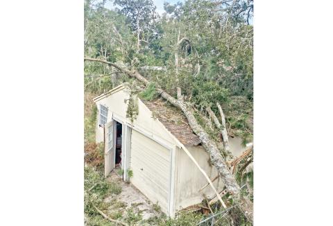 A tree was blown over on top of a shed on SW Castle Heights Terrace during Hurricane Helene last year. Another active storm season is expected this year. (FILE)