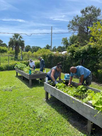 Volunteers from United Way Suwannee Valley helped revitalize a community garden at NorthStar Family Resource Center for a Day of Action service. (COURTESY UNITED WAY SUWANNEE VALLEY)