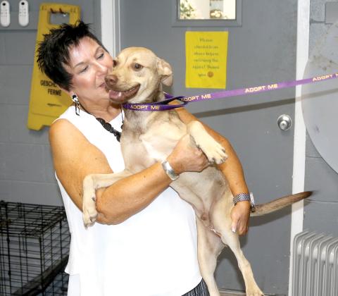 Elizabeth Halloran, Lake City Humane Society executive director, holds Cubby, a six-month-old hound. The LCHS secured a no kill shelter status earlier this month. (TONY BRITT/Lake City Reporter)