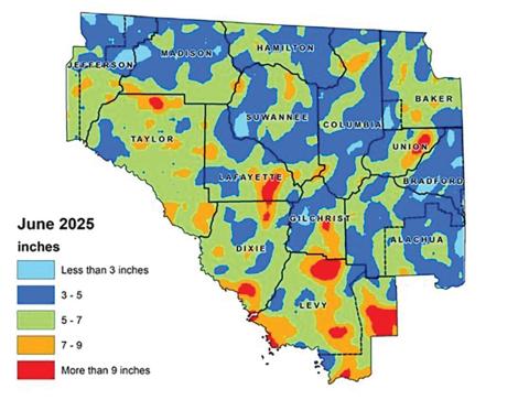 Most of North Florida received between 3-7 inches of rain in June, although some parts of Lafayette County received more than 9 inches of rain in the month. (COURTESY)