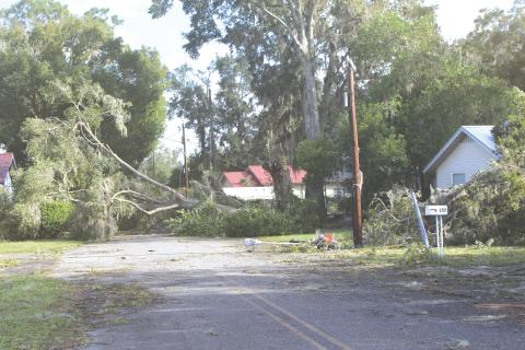 Colorado State University researchers updated their forecast for the current storm season, decreasing the number of expected storms and major storms slightly. (FILE)