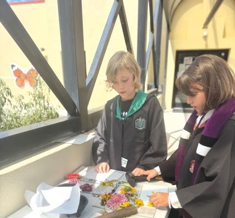 Haiden Marton (left) and Bailee-Jo Ambrose examine flowers they’ll be using to do flower pressing. (COURTESY)