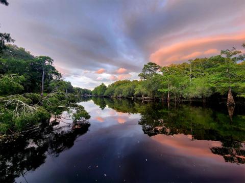This photo of the Santa Fe River was included on the Suwannee River Water Management District’s 2025 calendar. The photo contest for the 2026 calendar is up and running and submissions are due by Sept. 20. (COURTESY HEIDI SHUBERT)