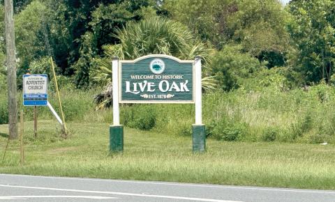The Live Oak City Council is wanting to install a ‘Welcome to Historic Live Oak’ city sign on U.S. Highway 129 north of town to welcome visitors, similar to the signs that are on U.S. 90 on the east and west sides of town, as well as U.S. 129 south and State Road 51. (STASI WACHTER/Special to the Reporter)