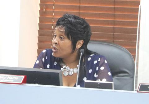 Lake City Councilwoman Tammy Harris said a proposed 3% raise across the board for city staffers isn’t a money grab for councilors. (MORGAN MCMULLEN/Lake City Reporter)
