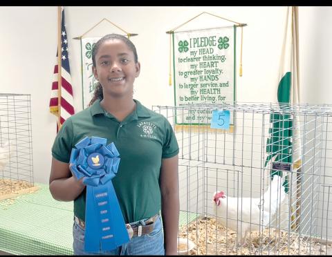 Jada Hencrick shows off her Grand Champion White Leghorn Hen from the Lafayette County 4-H annual Chick-Chain Contest. (COURTESY LAFAYETTE COUNTY 4-H)