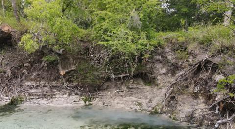 Erosion issues at Little River Springs will be addressed with funding from the Suwannee River Water Management District. (COURTESY SRWMD)