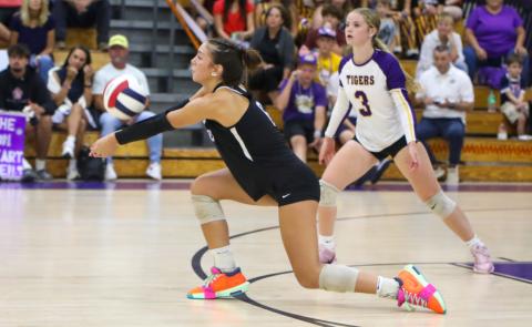 Columbia hitter Sinei Wood digs a shot against Suwannee on Sept. 11. (BRENT KUYKENDALL/Lake City Reporter)