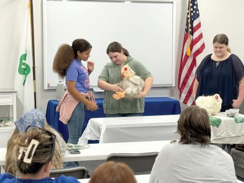 Rachel Dougherty and Alura Castillo show Neveau Davis, newcomer to poultry and LCMS FFA Member, how to hold and hand off a chicken. (COURTESY UF/IFAS COLUMBIA COUNTY EXTENSION)