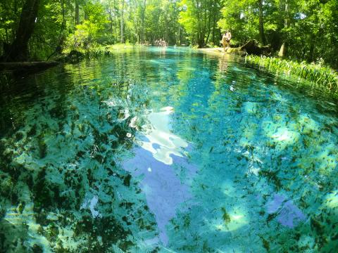 In an effort to protect the lower Ichetucknee River and Ichetucknee Springs, Linda Weseman is seeking a no wake zone on the lower Ichetucknee as part of a petition for a springs protection zone from the Florida Fish and Wildlife Conservation Commission. The Columbia County Commission agreed to support that effort Thursday. (COURTESY)