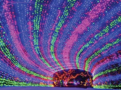 The Suwannee Lights Christmas lights drive-through display opened Friday at the Spirit of the Suwannee Music Park. It will be open through Dec. 30. (COURTESY SPIRIT OF SUWANNEE MUSIC PARK)