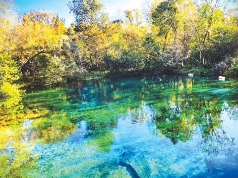 The Ichetucknee River and Springs, along with the Lower Santa Fe, is being targeted for a recharge effort using reclaimed water from northeast Florida. (COURTESY TOURIST DEVELOPMENT COUNCIL)