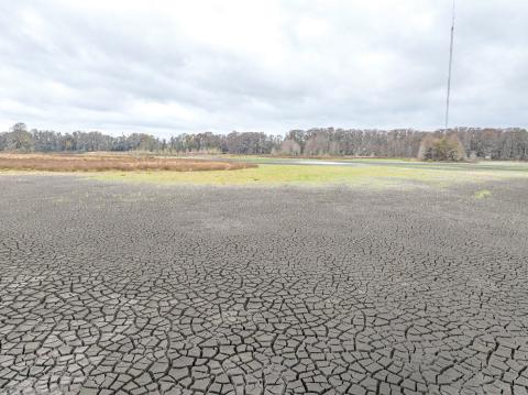 The bottom of Alligator Lake was a bed of cracked mud this month as the drought conditions that have been experienced in North Florida this month and unplugged sink holes in the lake caused it to drain. (RAY CARPENTER/Lake City Reporter)