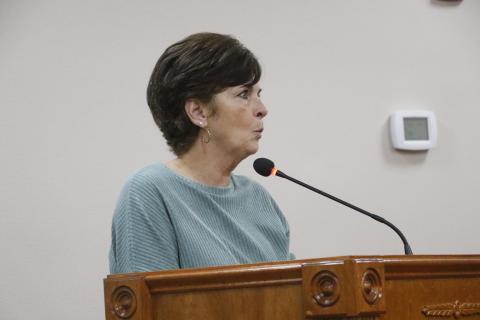 Vicki Waters said her property on 119th Road in Live Oak needs to be turned into a retention pond. (JAMIE WACHTER/Lake City Reporter)