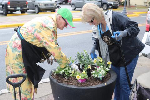 Lake City Garden Club members Pam Kalich (left) and Sandra Foreman replant flowers in a downtown planter on Wednesday afternoon. The recent cold snap killed plants that were planted earlier in the year, forcing the club to install new plants before the Olustee Festival. (TONY BRITT/Lake City Reporter)