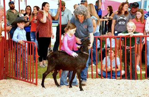 Suwannee County Fair Manager Lynn Touchton helps a child with an animal at a previous year’s Suwannee County Fair. The 111th annual fair opens Friday and will run for nine days, celebrating fair, family and freedom. (COURTESY)