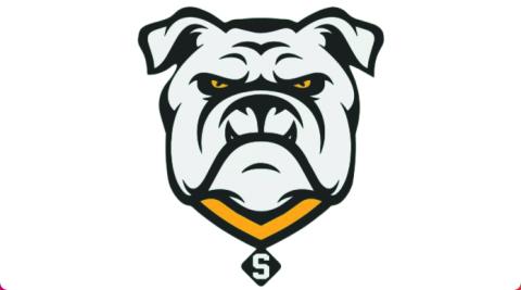 Suwannee Bulldogs