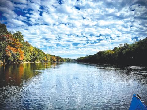 The Suwannee River is among the 10 most endangered rivers in the United States, according to a recent ranking released by American Rivers. (Photo courtesy KELLY BAHR)