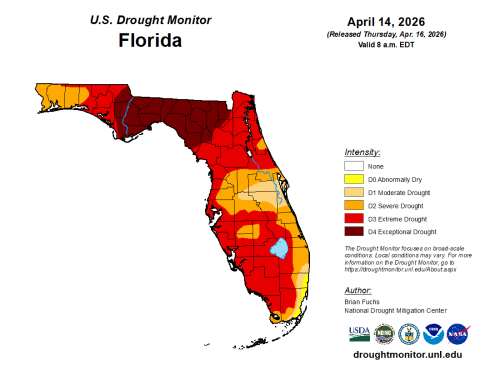 All of Columbia County, as well as Suwannee, Hamilton and Lafayette counties, are in exceptional drought. (U.S. DROUGHT MONITOR)