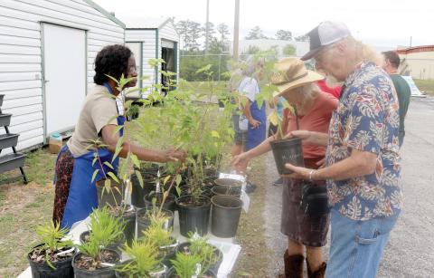 Linda Cray (left), a master gardener volunteer, helps a pair of customers during the UF/IFAS native plant sale on Saturday. (TONY BRITT/Lake City Reporter)